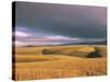 Overberg Landscape, Western Cape, South Africa, Africa-Alain Evrard-Stretched Canvas