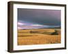 Overberg Landscape, Western Cape, South Africa, Africa-Alain Evrard-Framed Photographic Print