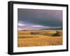 Overberg Landscape, Western Cape, South Africa, Africa-Alain Evrard-Framed Photographic Print