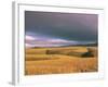 Overberg Landscape, Western Cape, South Africa, Africa-Alain Evrard-Framed Photographic Print