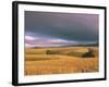 Overberg Landscape, Western Cape, South Africa, Africa-Alain Evrard-Framed Photographic Print