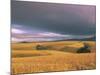 Overberg Landscape, Western Cape, South Africa, Africa-Alain Evrard-Mounted Photographic Print