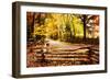 Overcast Afternoon-Alan Hausenflock-Framed Photographic Print