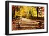 Overcast Afternoon-Alan Hausenflock-Framed Photographic Print