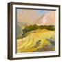 Overcast Farm Day-Toby Gordon-Framed Art Print