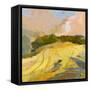 Overcast Farm Day-Toby Gordon-Framed Stretched Canvas