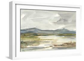 Overcast Wetland I-Ethan Harper-Framed Premium Giclee Print