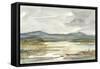 Overcast Wetland I-Ethan Harper-Framed Stretched Canvas
