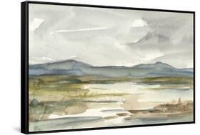 Overcast Wetland I-Ethan Harper-Framed Stretched Canvas