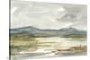Overcast Wetland I-Ethan Harper-Stretched Canvas