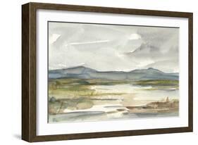 Overcast Wetland I-Ethan Harper-Framed Art Print