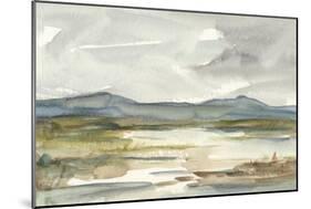 Overcast Wetland I-Ethan Harper-Mounted Art Print