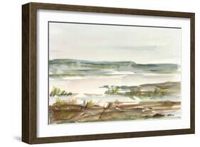 Overcast Wetland II-Ethan Harper-Framed Art Print