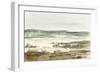 Overcast Wetland II-Ethan Harper-Framed Art Print