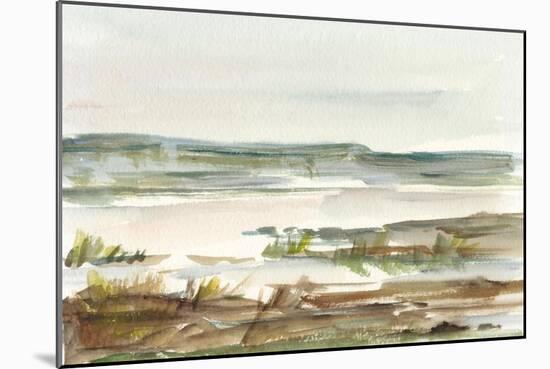 Overcast Wetland II-Ethan Harper-Mounted Art Print