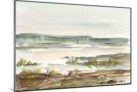 Overcast Wetland II-Ethan Harper-Mounted Art Print