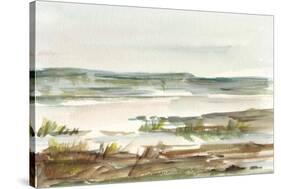 Overcast Wetland II-Ethan Harper-Stretched Canvas