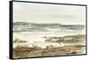 Overcast Wetland II-Ethan Harper-Framed Stretched Canvas