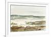 Overcast Wetland II-Ethan Harper-Framed Art Print