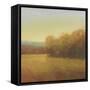 Overcast-Stephen Bach-Framed Stretched Canvas
