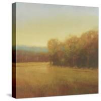 Overcast-Stephen Bach-Stretched Canvas