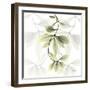 Overcoming Hoya Carnosa-Albert Koetsier-Framed Photographic Print