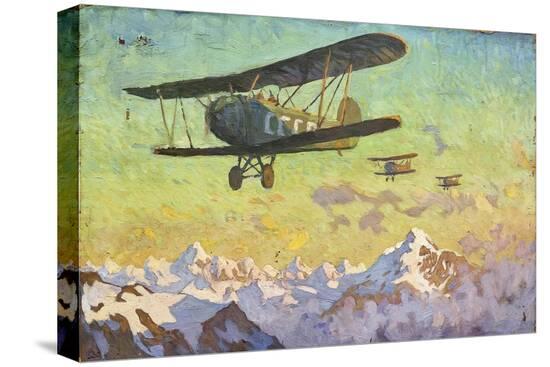Stretched Canvas Print, , large