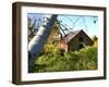 Overgrown-barn-Stephen Goodhue-Framed Photographic Print