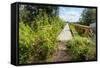 Overgrown Historic Railway Bridge-Ruud Morijn-Framed Stretched Canvas