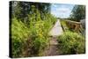 Overgrown Historic Railway Bridge-Ruud Morijn-Stretched Canvas