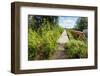 Overgrown Historic Railway Bridge-Ruud Morijn-Framed Photographic Print