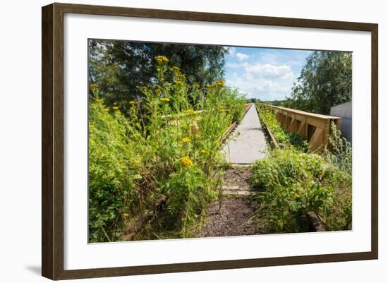 Overgrown Historic Railway Bridge-Ruud Morijn-Framed Photographic Print