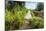 Overgrown Historic Railway Bridge-Ruud Morijn-Mounted Photographic Print