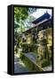 Overgrown Statues in a Temple in the Monkey Forest, Ubud, Bali, Indonesia, Southeast Asia, Asia-Michael Runkel-Framed Stretched Canvas