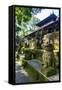 Overgrown Statues in a Temple in the Monkey Forest, Ubud, Bali, Indonesia, Southeast Asia, Asia-Michael Runkel-Framed Stretched Canvas