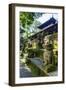 Overgrown Statues in a Temple in the Monkey Forest, Ubud, Bali, Indonesia, Southeast Asia, Asia-Michael Runkel-Framed Photographic Print