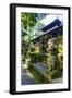 Overgrown Statues in a Temple in the Monkey Forest, Ubud, Bali, Indonesia, Southeast Asia, Asia-Michael Runkel-Framed Photographic Print