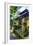 Overgrown Statues in a Temple in the Monkey Forest, Ubud, Bali, Indonesia, Southeast Asia, Asia-Michael Runkel-Framed Photographic Print