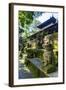 Overgrown Statues in a Temple in the Monkey Forest, Ubud, Bali, Indonesia, Southeast Asia, Asia-Michael Runkel-Framed Photographic Print