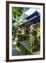 Overgrown Statues in a Temple in the Monkey Forest, Ubud, Bali, Indonesia, Southeast Asia, Asia-Michael Runkel-Framed Photographic Print