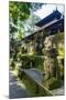 Overgrown Statues in a Temple in the Monkey Forest, Ubud, Bali, Indonesia, Southeast Asia, Asia-Michael Runkel-Mounted Photographic Print
