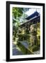 Overgrown Statues in a Temple in the Monkey Forest, Ubud, Bali, Indonesia, Southeast Asia, Asia-Michael Runkel-Framed Photographic Print