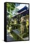 Overgrown Statues in a Temple in the Monkey Forest, Ubud, Bali, Indonesia, Southeast Asia, Asia-Michael Runkel-Framed Stretched Canvas