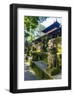 Overgrown Statues in a Temple in the Monkey Forest, Ubud, Bali, Indonesia, Southeast Asia, Asia-Michael Runkel-Framed Photographic Print