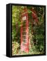 Overgrown Telephone Box, England, United Kingdom, Europe-David Hughes-Framed Stretched Canvas