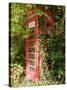 Overgrown Telephone Box, England, United Kingdom, Europe-David Hughes-Stretched Canvas