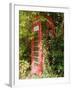 Overgrown Telephone Box, England, United Kingdom, Europe-David Hughes-Framed Photographic Print