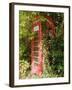 Overgrown Telephone Box, England, United Kingdom, Europe-David Hughes-Framed Photographic Print