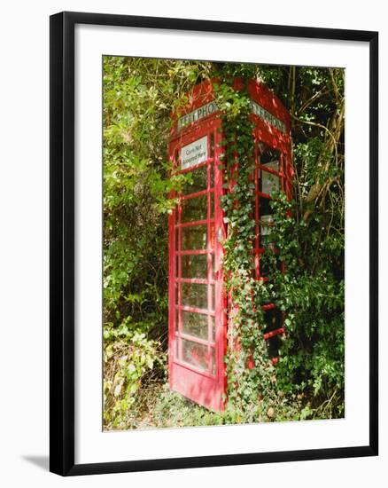 Overgrown Telephone Box, England, United Kingdom, Europe-David Hughes-Framed Photographic Print