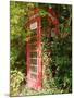 Overgrown Telephone Box, England, United Kingdom, Europe-David Hughes-Mounted Photographic Print